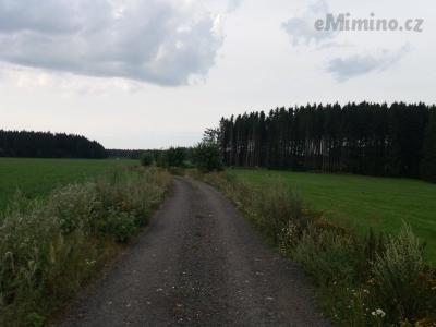 20200811_175329.jpg