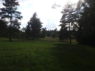 20200703_174605.jpg