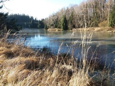 20201231_133539.jpg
