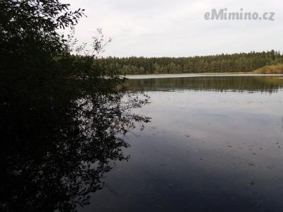 20201003_132222.jpg
