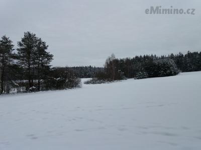 20210119_130726.jpg