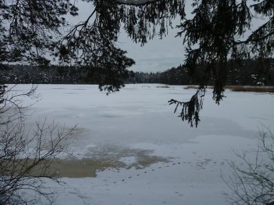 20210119_131114.jpg