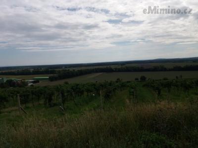 20200904_141631.jpg