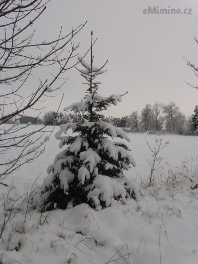 20210109_142831.jpg