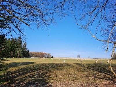 20210331_161743.jpg