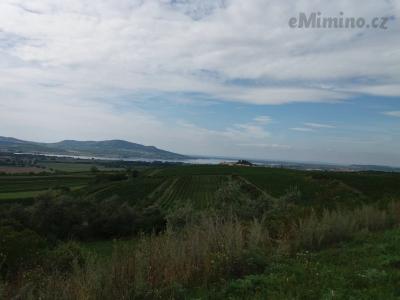 20200904_140004.jpg