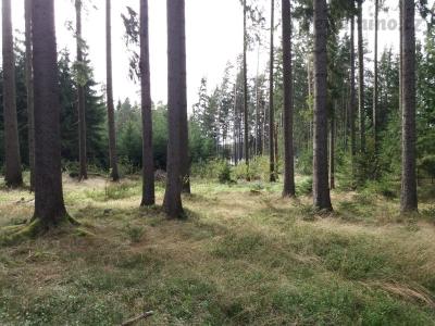 20201003_131453.jpg