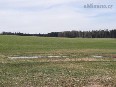 20210411_131537.jpg