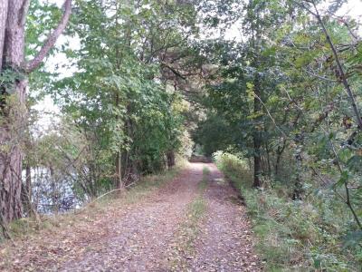 20201003_132643.jpg