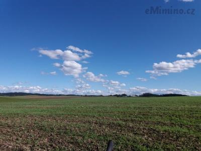 20201004_141148.jpg