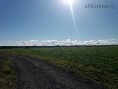 20201004_145928.jpg