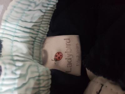 20201108_150803.jpg