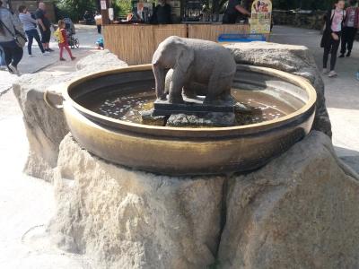 20200919_103055.jpg