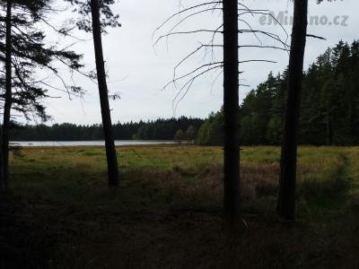 20201003_131315.jpg