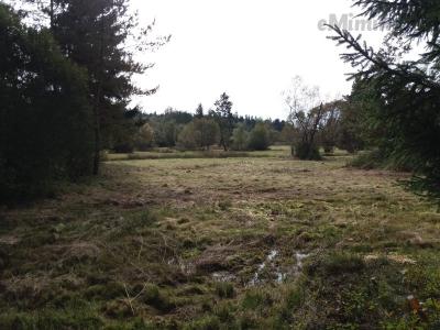 20201003_132426.jpg