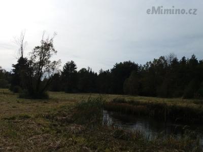 20201003_132517.jpg