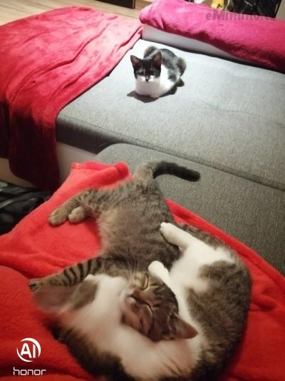 IMG_20200309_062220.jpg