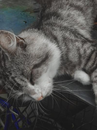 20200911_102145.jpg