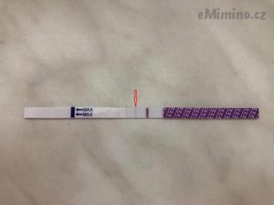 107005532_551246895550802_4431916513777826398_n.jpg