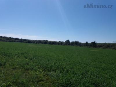 20200905_132720.jpg