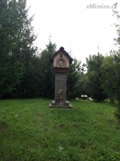 20200904_125646.jpg