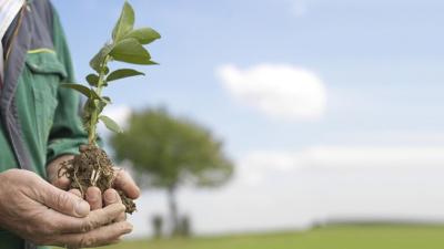Preferujte potraviny, které nejsou chemicky ošetřené a které jsou tělu přirozené. Zdroj: hipp.cz.