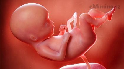17. týden těhotenství: Jak se mění kůže?