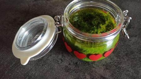 Pesto z medvědího česneku