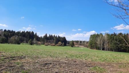 PROCHÁZKY