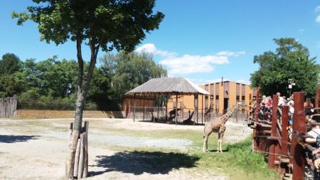 ZOO DVŮR KRÁLOVÉ