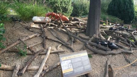 ZOO PRAHA
