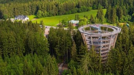 Stezka v korunách stromů: Co všechno se tam dá zažít a proč se vyplatí ji navštívit?