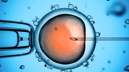 IVF: nevzdávám se, čeká mne další pokus