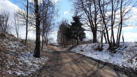PROCHÁZKA
