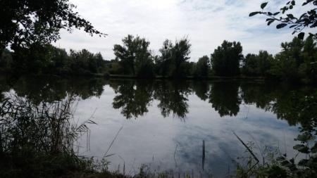 PŘÍTLUKY