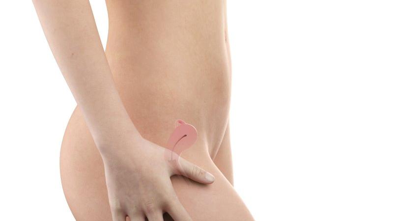Těhotenství týden po týdnu: 4. týden – umístění embrya v děloze Zdroj: Shutterstock