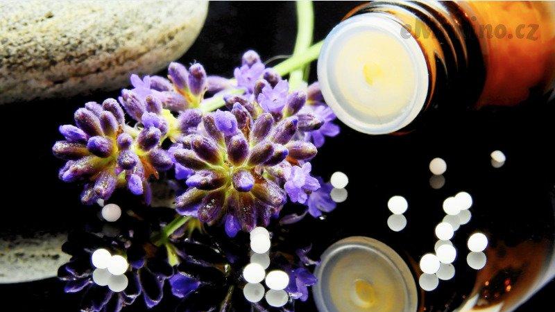 Homeopatika jsou vyráběna ze surovin nejen rostlinného původu. Zdroj: Canva Pro