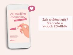 Stáhněte si zdarma eBook: Ze snažilky maminkou