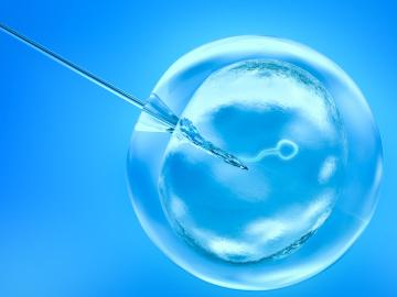 IVF Umělé oplodnění
