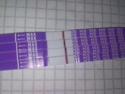 Testování a těhotenský test | Vidíte něco, duch nebo ryska nebo nic?