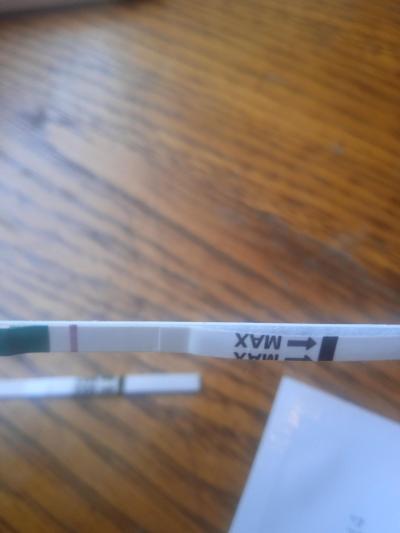 Testování a těhotenský test | Tt v den očekávané ms duch?