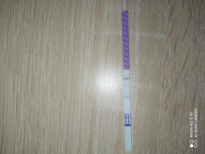 Snažení | Ovulace a test negativní