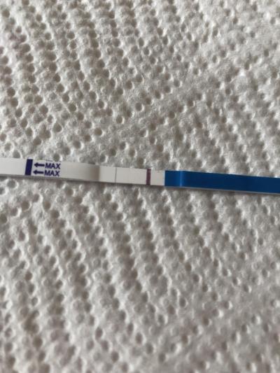 Testování a těhotenský test | Ovulace pozitivní, na těhu testu duch?