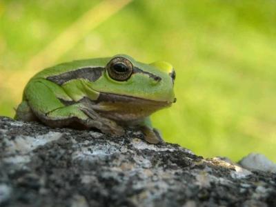 Stejné názory | Co byste chtěli dokázat