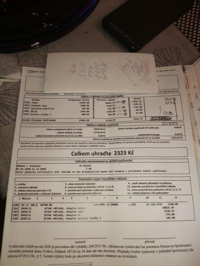 Domácnost | Vyzná se někdo podrobně ve vyúčtování energii?