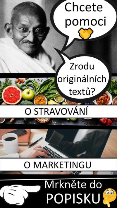 Vše možné | Prosím o feedback ke článkům o stravování