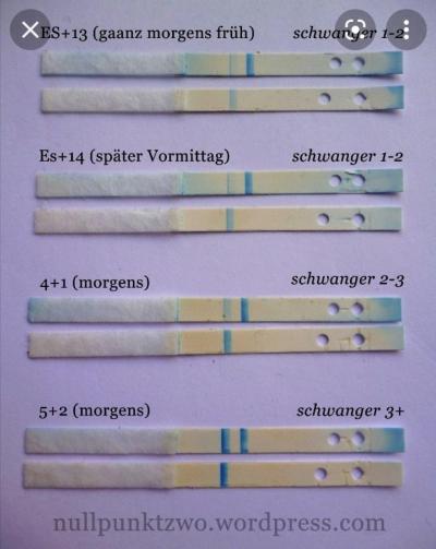 Testování a těhotenský test | A zase ten Clearblue
