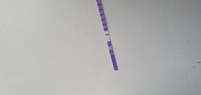Testování a těhotenský test | Těhotenský test - 1. den zpoždění