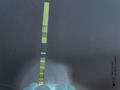 Testování a těhotenský test | Je to duch nebo ryska?