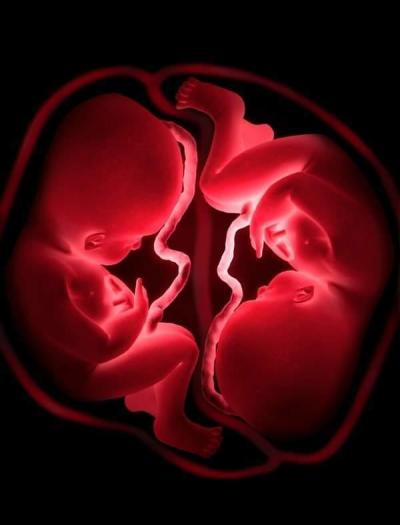Centra asistované reprodukce | Ivf listopad/prosinec